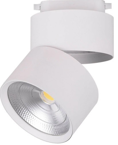 Светильники для шинопровода 220V